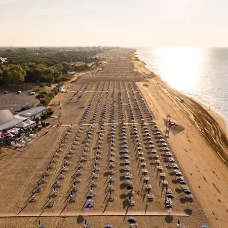 Luminous In Lido Dei Pini شقة بيبيوني